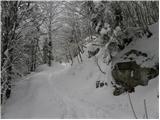 Koča pri Savici - Planina Lopučnica